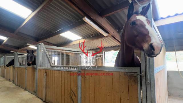 Propiedad ecuestre En venta Tarn y Garona