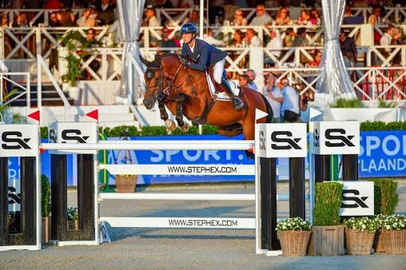 Yegua sBs Caballo de Deporte Belga En venta 2015 Bayo