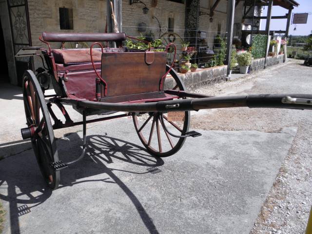 Coche enganches - Calesa  STICK BAG GIG 