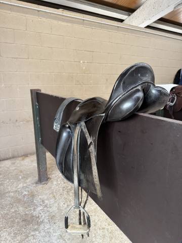 Montura de Doma Zaldi