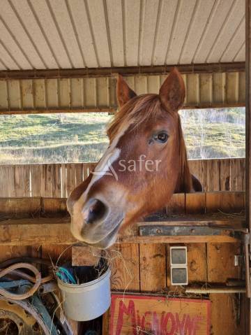 Propiedad rural En venta Aude