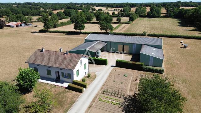 Explotaci&oacute;n ovina En venta Charente