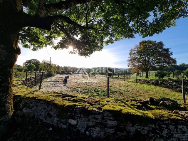 Explotaci&oacute;n agr&iacute;cola En venta Lot