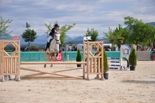 Caballo castrado Origine Constat&eacute;e En venta 2015 Tordo por alibi du ronval