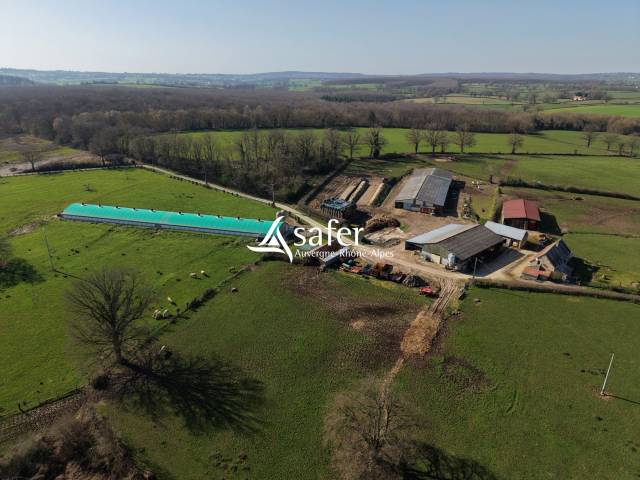 Explotaci&oacute;n av&iacute;cola En venta Allier