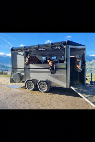Van caballos Bockmann Traveller G3 3 Caballos 2018 De segunda mano