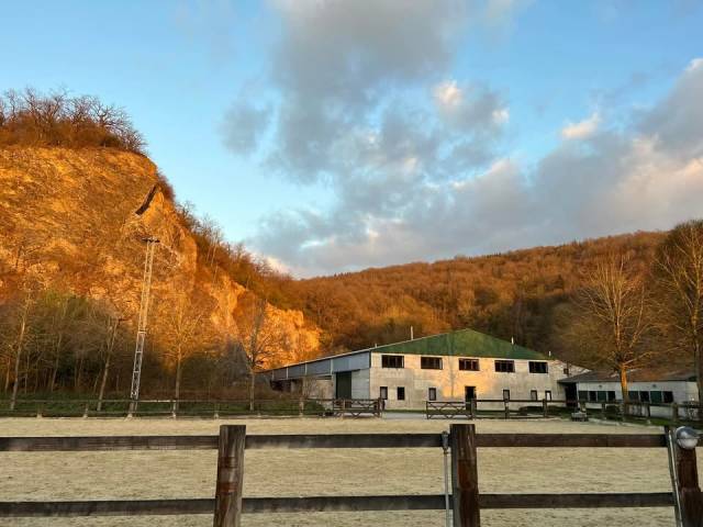 Caballerizo, Acaballaderos - Contrato temporal Tiempo completo - Li&egrave;ge B&eacute;lgica