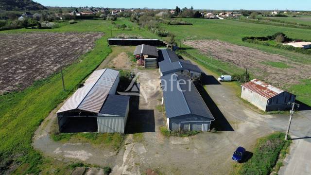 Explotaci&oacute;n ovina En venta Deux-S&egrave;vres