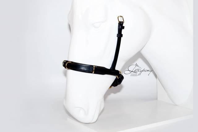 Academic cavesson noseband Lazypony / Muserola cavesson