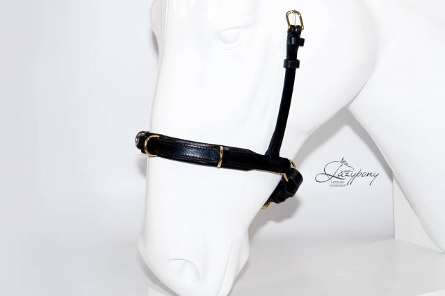 Academic cavesson noseband Lazypony / Muserola cavesson