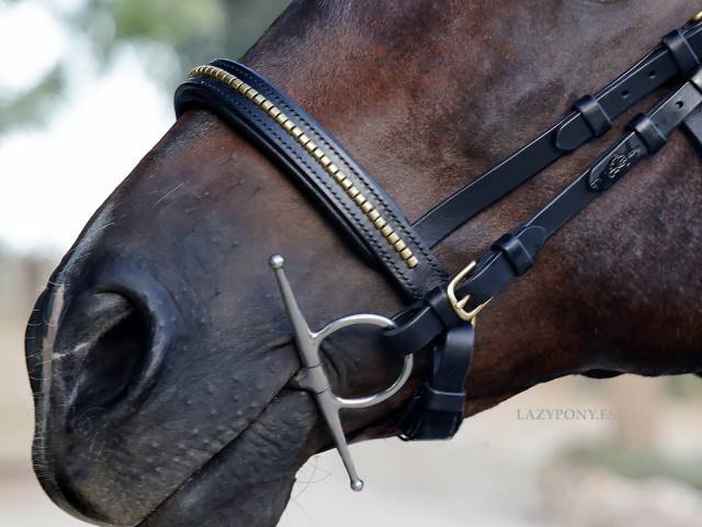 Muserola clincher Lazypony / Clincher noseband Lazypony