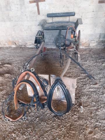 Coche enganches - Calesa   