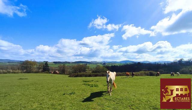 Propiedad ecuestre En venta Allier