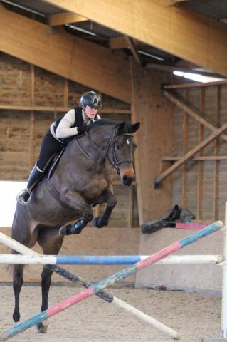 Yegua de ganader&iacute;a Caballo de Silla En venta 2016 Bayo