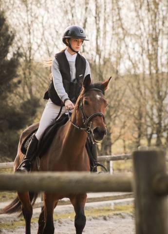 Yegua Silla Franc&eacute;s En venta 2021 Bayo por CONTENDRO