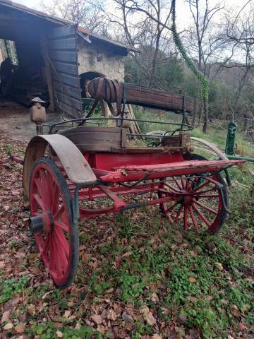 Coche enganches - Calesa   