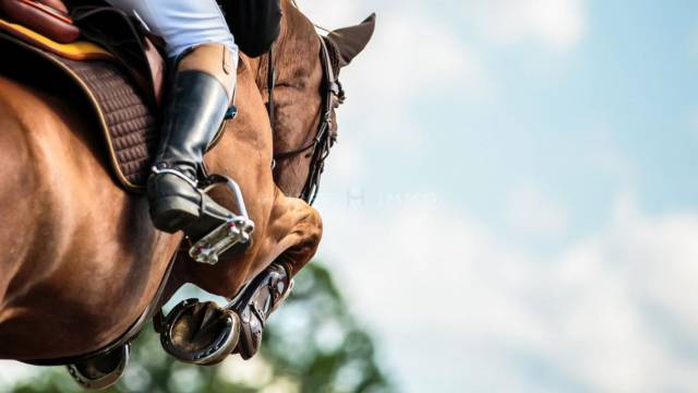 Propiedad ecuestre En venta Bocas del R&oacute;dano