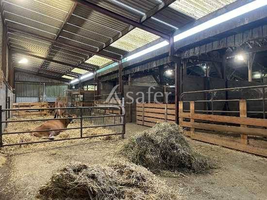 Explotaci&oacute;n agr&iacute;cola En venta Maine y Loira