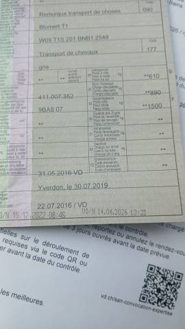 Van caballos Blomert T1 1,5 Caballos 2016 De segunda mano