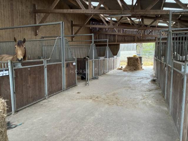 Centro ecuestre En venta Morbihan