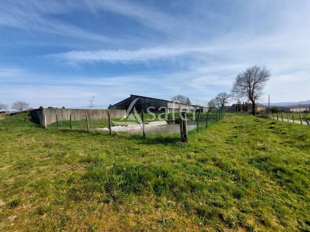 Explotaci&oacute;n ovina En venta Alto Vienne