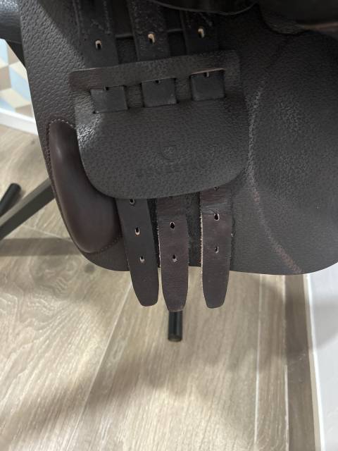 Silla equestro Evolution pro Jump 