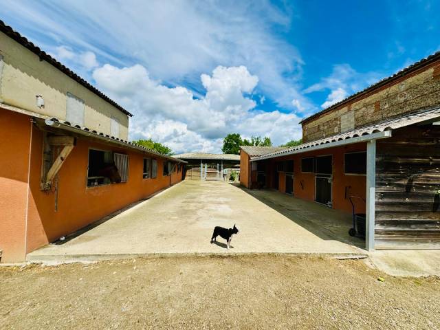 Propiedad ecuestre En venta Tarn y Garona