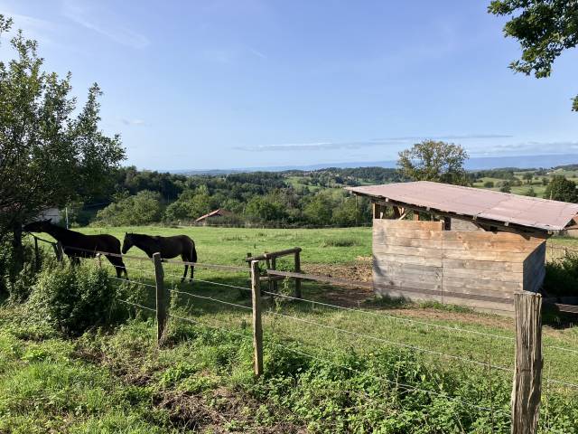 Granja ecuestre En venta R&oacute;dano