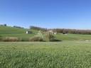 Explotaci&oacute;n agr&iacute;cola En venta Lot y Garona