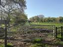 Propiedad ecuestre En venta Loira Atl&aacute;ntico