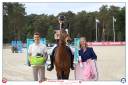 Yegua PFS Poni Fran&ccedil;&eacute;s de Silla En venta 2012 Bayo
