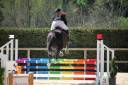 Yegua Silla Franc&eacute;s En venta 2022 Negro por papillon de l'odyssee