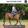 Caballo castrado Trot&oacute;n Franc&eacute;s En venta 2020 Bayo