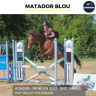 Caballo castrado Pura Sangre En venta 2022 Bayo