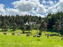 Propiedad ecuestre En venta Alto Loira