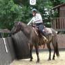 Yegua Quarter Horse En venta 2020 Grullo por JAZ GC DE PLATA