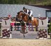 Caballo castrado PFS Poni Fran&ccedil;&eacute;s de Silla En venta 2020 Bayo