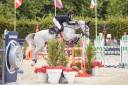 Caballo castrado Silla Franc&eacute;s En venta 2015 Tordo por OGRION DES CHAMPS