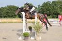 Caballo castrado Silla Franc&eacute;s En venta 2020 Bayo moreno por VANCOUVER de lanlore