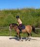Yegua PFS Poni Fran&ccedil;&eacute;s de Silla En venta 2022 Roano por Greatstar dembets tilia