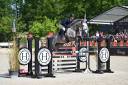 Caballo castrado Silla Franc&eacute;s En venta 2018 Tordo por URANO DE CARTIGNY