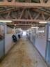 Propiedad ecuestre En venta H&eacute;rault