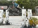 Yegua Silla Franc&eacute;s En venta 2021 Tordo por CAP KENNEDY