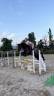 2021 Gelding (Spanish Sport Horse)
