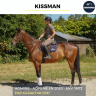 Caballo castrado AQPS En venta 2020 Bayo por KARAKTAR (IRE)