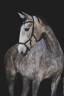 Yegua Lusitano En venta 2020 Tordo