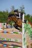 Yegua PFS Poni Fran&ccedil;&eacute;s de Silla En venta 2017 Bayo