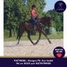 Caballo castrado Pura Sangre En venta 2022 Bayo moreno