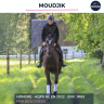 Caballo castrado AQPS En venta 2022 Bayo