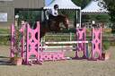 Caballo castrado Silla Franc&eacute;s En venta 2020 Alaz&aacute;n por NINIO DE ROX